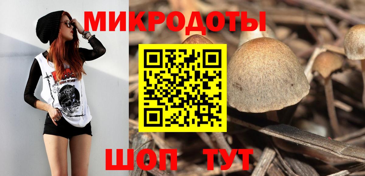 Псилоцибиновые грибы Cubensis  купить наркотик  Камышин  Галлюциногенные грибы прущие грибы  Вход с VPN 