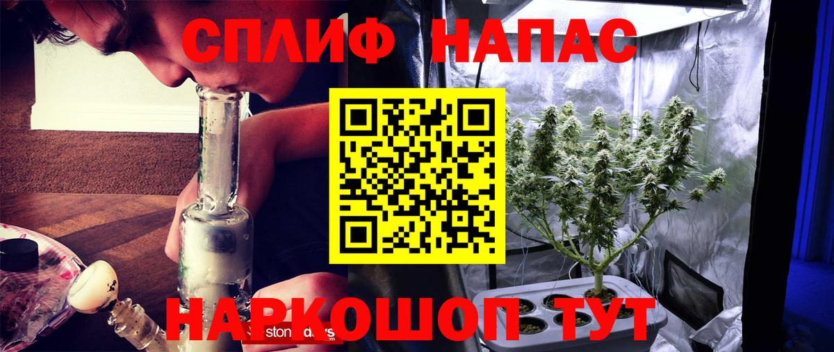 Шишки марихуана THC 21%  Марихуана Bruce Banner  Вход с VPN  Камышин  Бошки марихуана Bruce Banner 